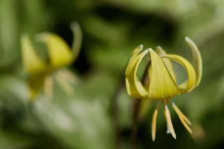 Image 65